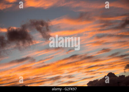 Nuages au coucher du soleil à Bunbury , l'ouest de l'Australie sont magnifiquement tonique avec soft rose saumon, bleu pâle et gris couleurs que le soleil se couche. Banque D'Images