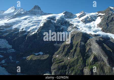 Les pics dans la neige et des glaciers de Grindelwald à proximité dans les Alpes en Suisse Banque D'Images