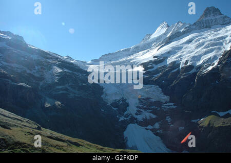 Glacier (Oberer Grindelwaldgletscher) et les pics à proximité Grindelwald dans les Alpes en Suisse Banque D'Images