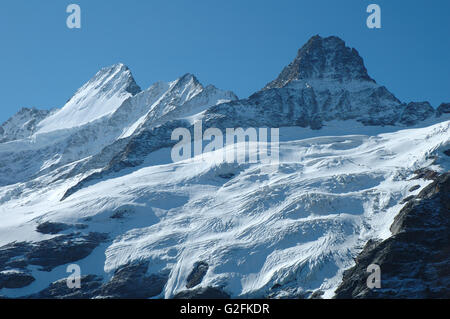 Glacier (Oberer Grindelwaldgletscher) et les pics à proximité Grindelwald dans les Alpes en Suisse Banque D'Images