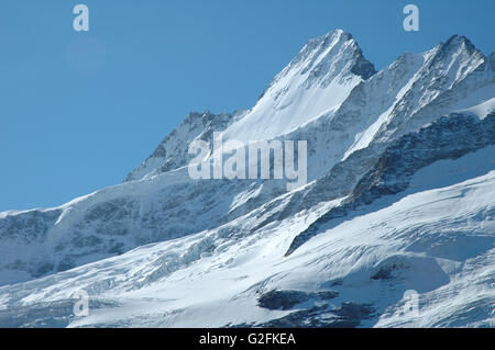 Glacier (Oberer Grindelwaldgletscher) et les pics à proximité Grindelwald dans les Alpes en Suisse Banque D'Images