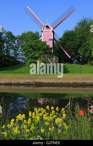 Le nouveau moulin Parrot (1790) à Bruges, Belgique Banque D'Images