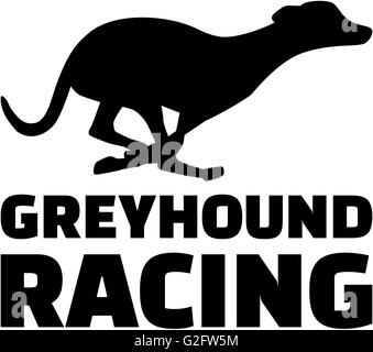 Les courses de chiens Greyhound Banque D'Images