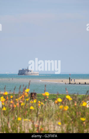 Dog Walkers marche sur la plage près de St Helen's Fort, à Bembridge sur l'île de Wight Banque D'Images