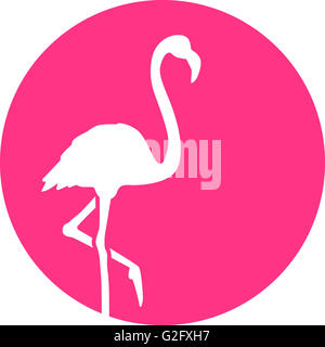 En face de Flamingo Pink mooon Banque D'Images