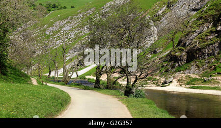 Dans le Dovedale Derbyshire Peak district avec la rivière Dove Banque D'Images