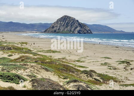 Morro Rock vu depuis le parc d'État de plage de Morro Morro Bay, Californie Banque D'Images