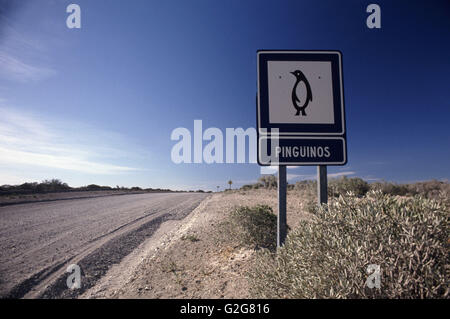 Signe de la route les conducteurs d'avertissement d'être mises en garde de pingouins traverser la route. La Patagonie, Argentine. Banque D'Images