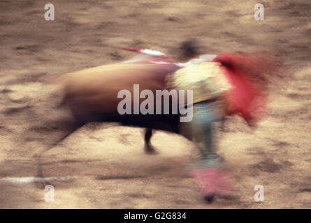 Corrida au Mexique. Banque D'Images