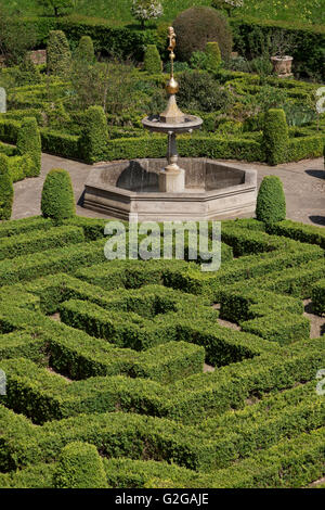 Fort orné, couverture Hertfodshire, Hatfield House, jardin détail noeud coulé bas à labyrinthe de couverture de buis Banque D'Images