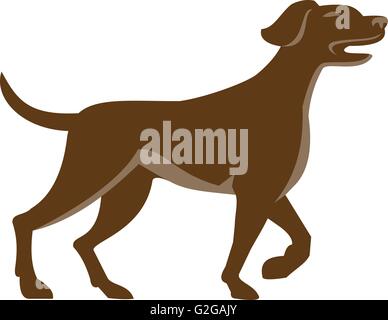 Illustration d'un chien pointer anglais vers le haut dans une position du pointeur avec la tête de queue et un pied légèrement isolé sur fond blanc vu de côté fait en style rétro. Illustration de Vecteur