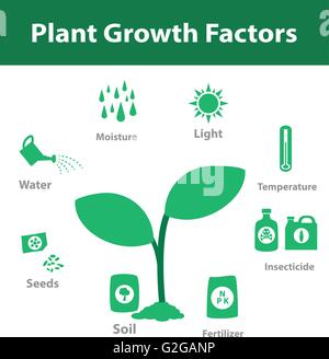 Le facteur de croissance des plantes infographie en monochrome, vector Illustration de Vecteur