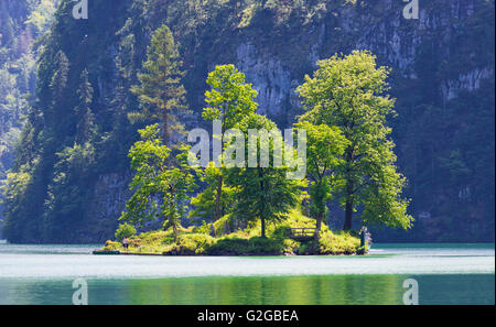 Petit arbre-couverts dans l'île du lac Koenigssee, Königssee, Berchtesgadener Land, District de Haute-bavière, Bavière, Allemagne Banque D'Images