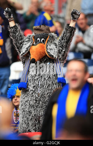 Un ventilateur de l'AFC Wimbledon vêtu comme un womble avant le ciel Deux Play-Off Ligue Pari match de finale au stade de Wembley, Londres. Banque D'Images