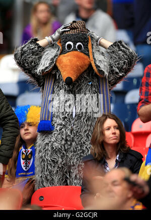 Un ventilateur de l'AFC Wimbledon vêtu comme un womble avant le ciel Deux Play-Off Ligue Pari match de finale au stade de Wembley, Londres. Banque D'Images