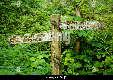 Couverts de lichens dans l'Undercliff sign post sur le South West Coast Path entre Lyme Regis dans le Dorset et Devon Seaton UK Banque D'Images