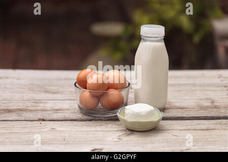 Brown bio frais oeufs dans un bol en verre clair, verre bouteille de lait et fromage de chèvre sur une ferme rustique table de pique-nique en été. Banque D'Images