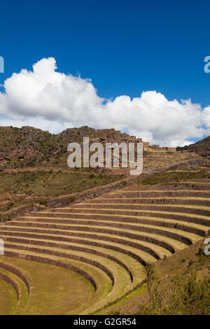 Terrasses agricoles incas au ruines de Pisac dans la Vallée Sacrée des Incas, le Pérou Banque D'Images