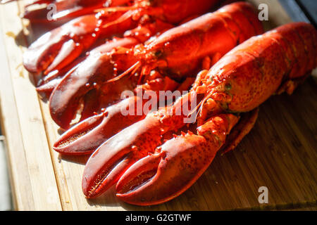 Les homards rouges cuits servis sur plaque blanche prête à manger Banque D'Images