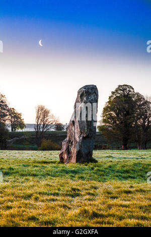 Pierres Sarsen au lever du soleil à Avebury, dans le Wiltshire. Banque D'Images