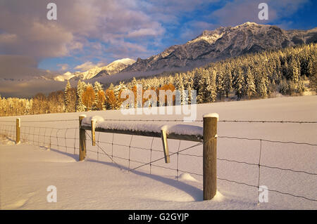 L'hiver avec clôture et terres agricoles à bord de montagnes rocheuses canadiennes Edgewater British Columbia Canada Banque D'Images