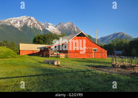 Grange rouge et la chaîne Côtière Smithers, Colombie-Britannique Canada Banque D'Images