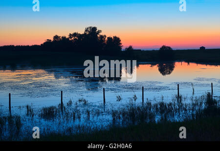 Crépuscule sur le Comté de Lamont des terres humides du Canada Alberta Banque D'Images