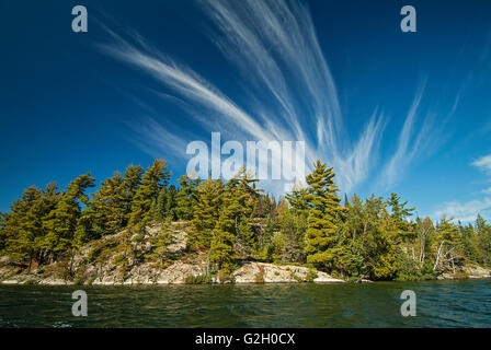 Le pin blanc (Pinus storbi) et mare's tail nuages sur Crow (lac Kakagi) près de Nestor Falls Ontario Canada Banque D'Images