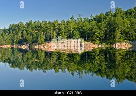 Le pin blanc, pruche et les feuillus Forêt se reflétant dans le lac George Le Parc provincial Killarney Ontario Canada Banque D'Images