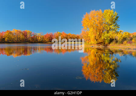 Vermilion River la réflexion à l'automne près de Naughton Ontario Canada Banque D'Images