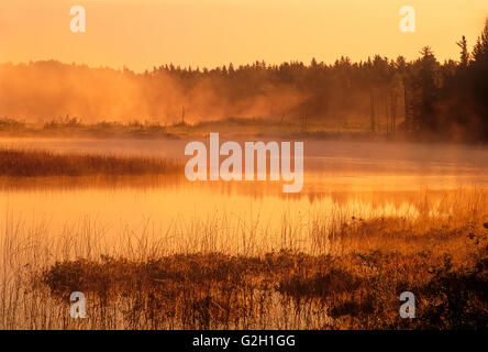 Le brouillard au lever du soleil sur la rivière Vermilion Capreol Ontario Canada Banque D'Images