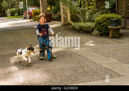 Quatre ans boy riding bike avec son chiot âgé de quatre mois, Jersey, à sa poursuite, dans l'ouest de Washington, USA. Banque D'Images