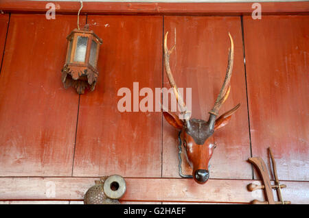 Tête de cerf en bois sur décoration murale dans chambre Banque D'Images