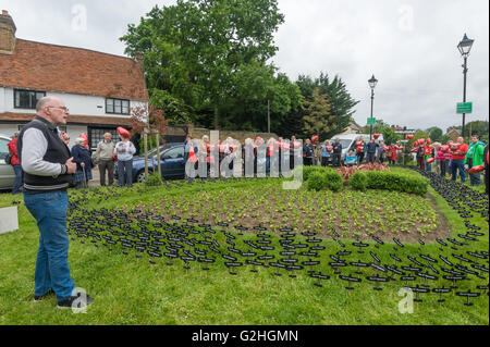 Harmondsworth, Londres, Royaume-Uni. 30 mai, 2016 HACAN et anti-3ème campagne en piste d'Harmondsworth "célébrer" le 70e anniversaire d'Heathrow avec '70 Pas de 3ème piste' ballons et planter plus de 750 avions noirs sur le village vert, représentant le nombre de maisons qui seront détruites. Crédit : Peter Marshall/Alamy Live News Banque D'Images