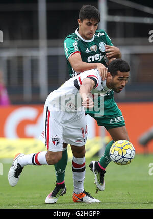 SAO PAULO, BRÉSIL - 29/05/2016 : SAO PAULO X PALMIERS - le joueur Thiago Martins, de se Palmeiras, ball différend avec le joueur Alan Kardec, S ?o Paulo FC pendant match valide pour la quatrième série de championnat brésilien de la Serie A, au Morumbi Stadium. (Photo : Cesar Greco / FotoArena) Banque D'Images