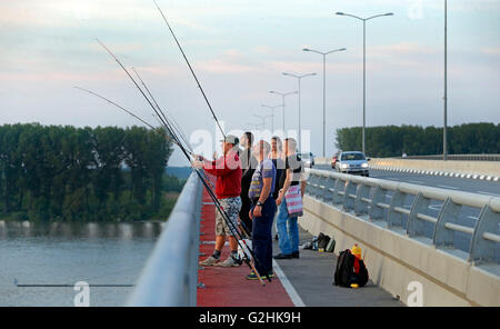 (160531) -- BELGRADE, 31 mai 2016 (Xinhua) -- les gens du poisson au pont Pupin à Belgrade, en Serbie, le 23 mai. 2016. Le Pont, nommé d'après le scientifique et inventeur serbe Mihajlo Pupin, a été ouverte par le Premier Ministre de la République populaire de Chine Li Keqiang et son homologue serbe Aleksandar Vucic, le 18 décembre 2014. Comme le deuxième pont sur le Danube à Belgrade, il a terminé l'histoire que pour 70 ans il y avait seulement un pont de Belgrade sur le Danube. Connexion de Zemun au sud de Danube et roman sur le nord, le pont a raccourci le temps de voyage de plus d'une heure t Banque D'Images