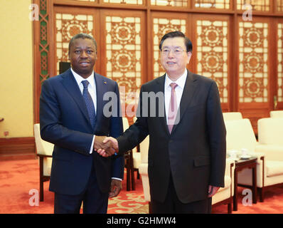 (160531) -- BEIJING, 31 mai 2016 (Xinhua) -- Zhang Dejiang (R), président du Comité permanent de l'Assemblée populaire nationale, se réunit avec les visites du Président togolais Faure Gnassingbe dans le Grand Hall du Peuple à Beijing, capitale de Chine, le 31 mai 2016. (Xinhua/Ding Lin)(mcg) Banque D'Images