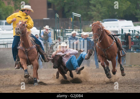 Steer wrestling, l'équipe de rodéo, Cochrane Cochrane, Alberta, Canada Banque D'Images