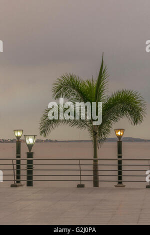 Scène urbaine de la promenade à Puerto Santa Ana avec fleuve Guayas à backgrond dans la ville de Guayquil en Equateur. Banque D'Images