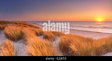 Dunes hautes dunes avec l'herbe et une large plage ci-dessous. Photographié au coucher du soleil sur l'île de Texel aux Pays-Bas. Banque D'Images