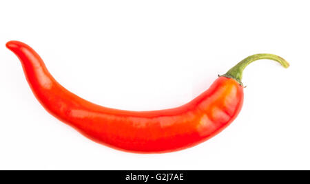 Seul Red Hot Chili Pepper isolé sur fond blanc Banque D'Images