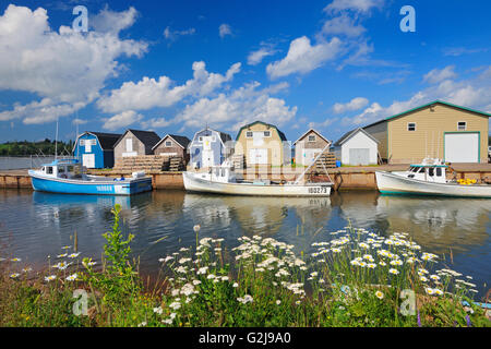 Les bateaux de pêche et des hangars dans village côtier Banque D'Images