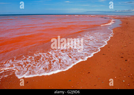 Les vagues le long de la plage de sable de terre rouge, le long du golfe du Saint-Laurent Banque D'Images