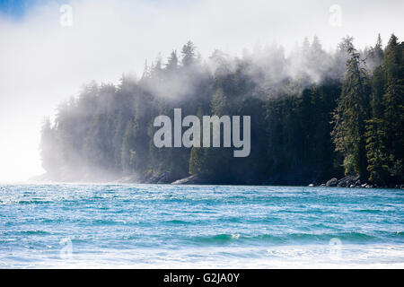 Vue sur l'océan Pacifique et de la Chine en coastaline plage Juan de Fuca parc provinciaux. L'île de Vancouver, BC, Canada. Banque D'Images