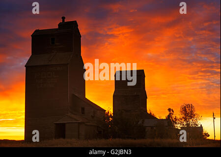 Les silos à grains au lever du soleil dans la ville fantôme, Lepine, Saskatchewan, Canada Banque D'Images