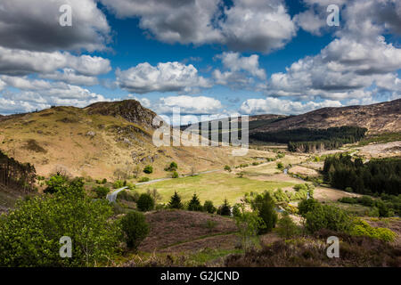 La vue le long de l'A712 de Murray's Monument, près de Clatteringshaws Loch, Galloway Forest Park, Dumfries et Galloway, Écosse Banque D'Images