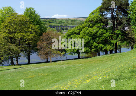 Le Lac et Cefn Coed Y Cymmer Viaduc, Cyfarthfa Castle de l'ancienne maison de la famille Crawshay, Merthyr Tydfil, South Wales, UK. Banque D'Images
