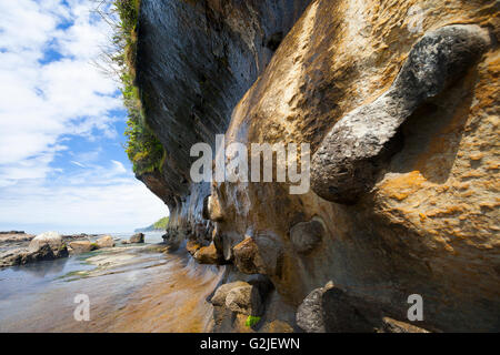 Falaises de grès le long de la rive du sentier de la côte ouest. La Réserve de parc national Pacific Rim, l'île de Vancouver, BC, Canada. Banque D'Images