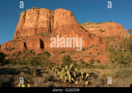 Rouge pittoresque rocher connu sous Courthouse Butte Rock une destination touristique populaire dans Coconino National Forest Sedona AZ Banque D'Images