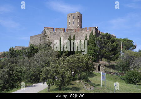 Fort Saint Elme, au-dessus de Collioure, France Banque D'Images